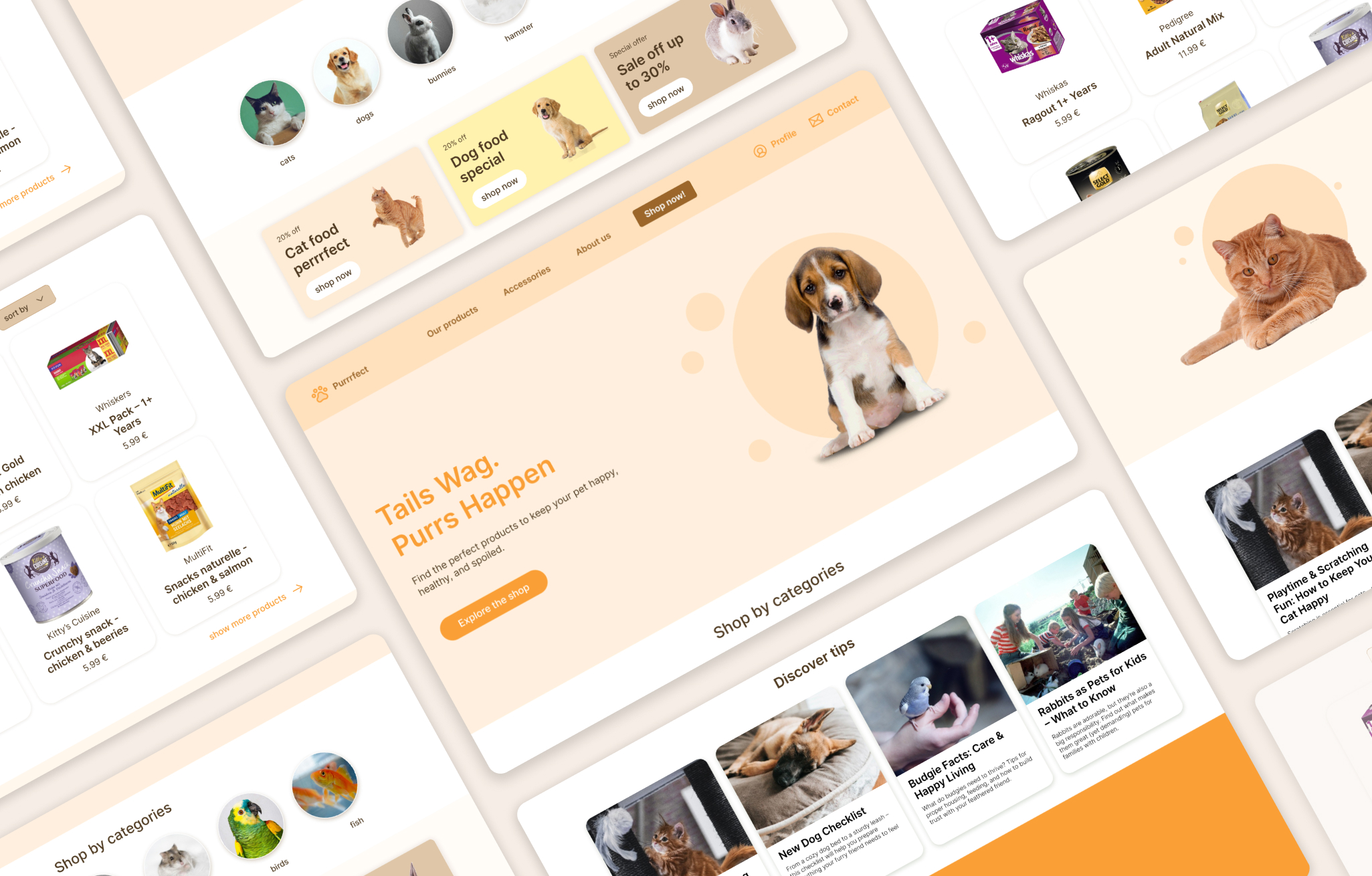 pawshop konzept